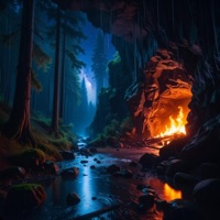 Forest Refuge - Single - Lance Winfindale