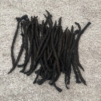 BACK2MYROOTS! - NRG Komodo