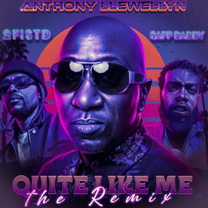 Quite Like Me (Remix) [feat. 2FISTD & Sapp Daddy]