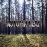 Autumn Leaf - Single - Titov & GOLSKIY