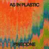 Pine Cone