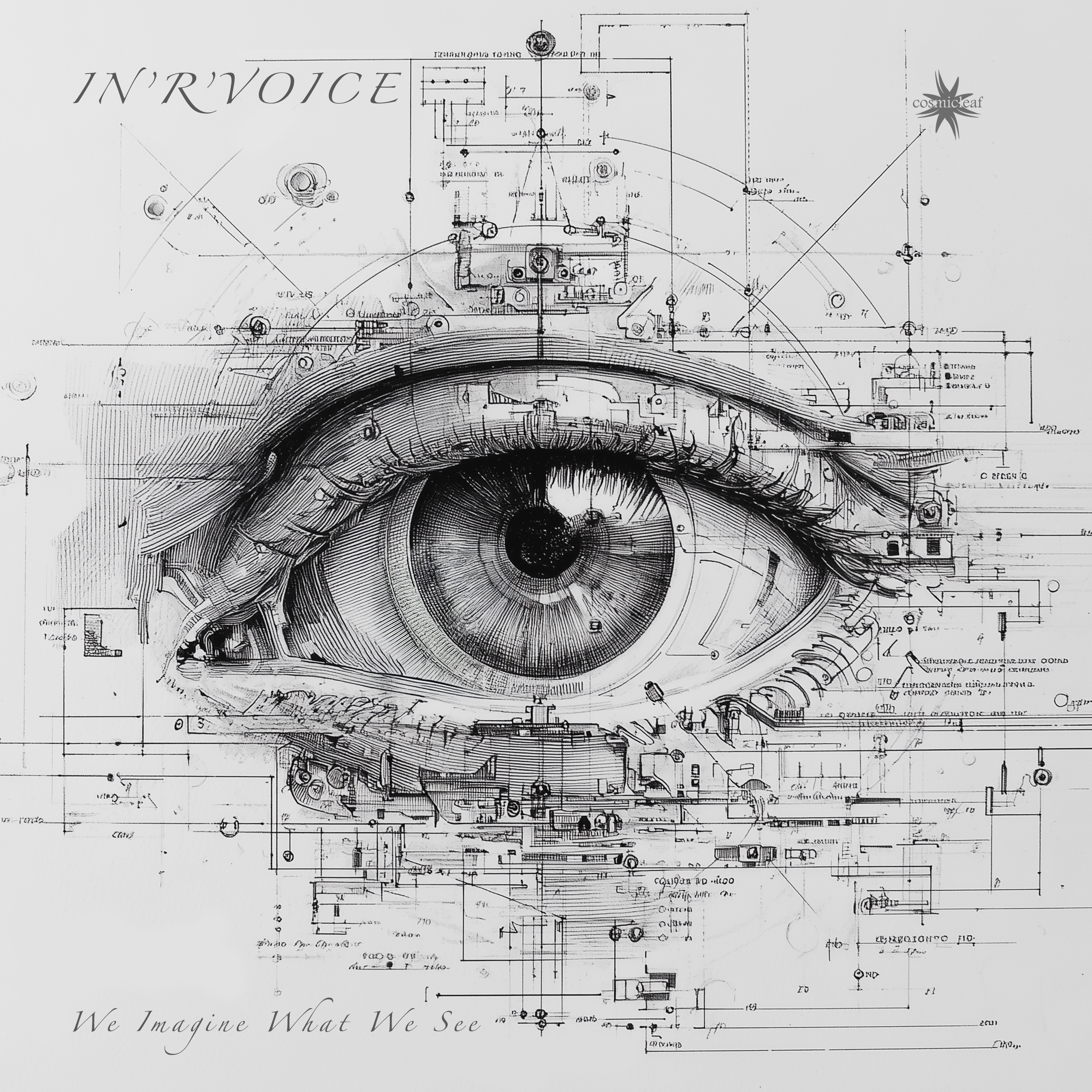 We Imagine What We See