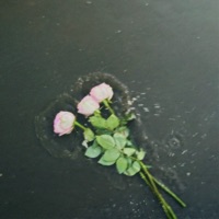 Твои слова - Single - Карина Клочнева & NIKFF