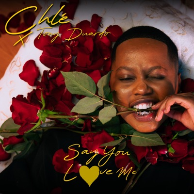 Say You Love Me - Single
