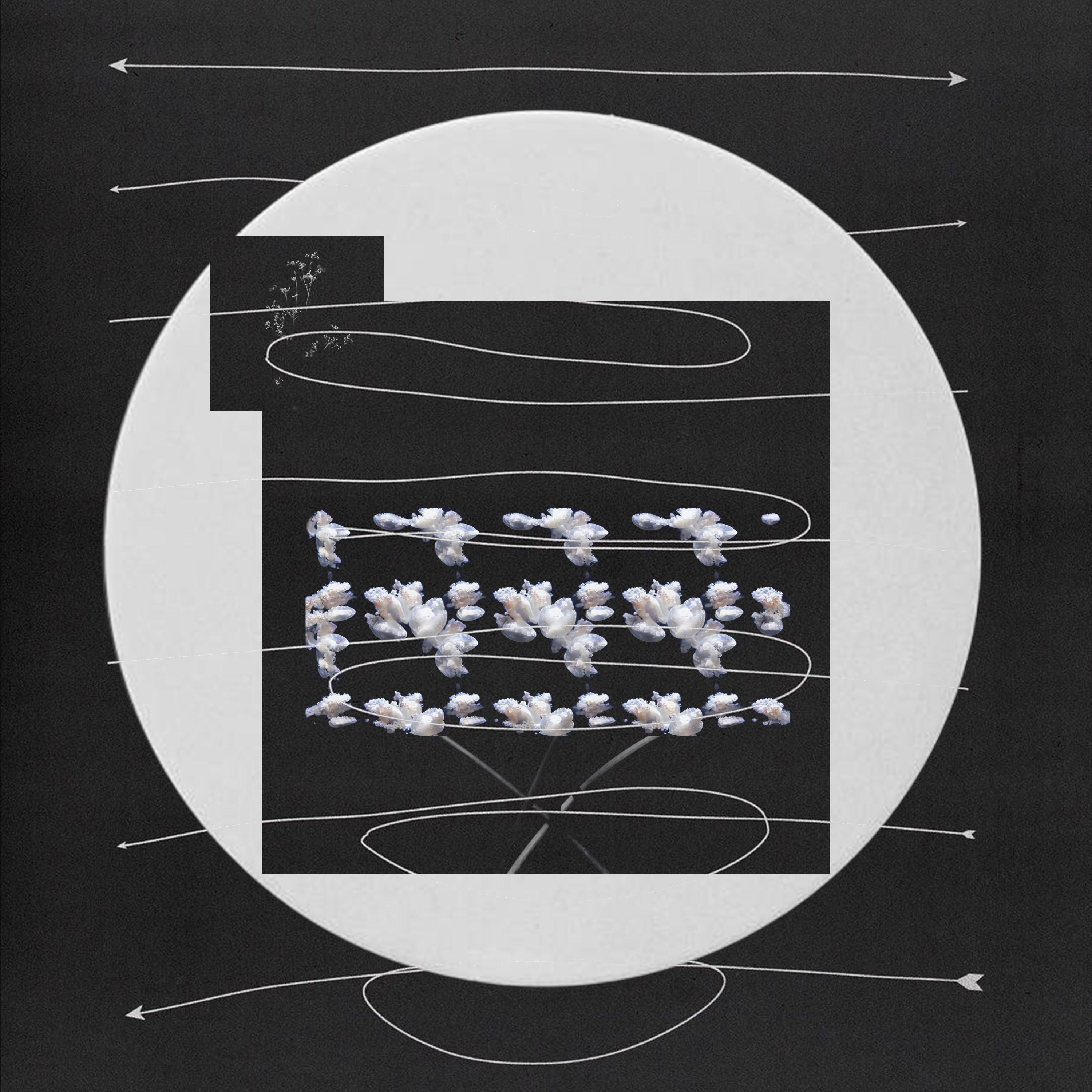 Falling In The Opposite Direction (Out Of The Circle)