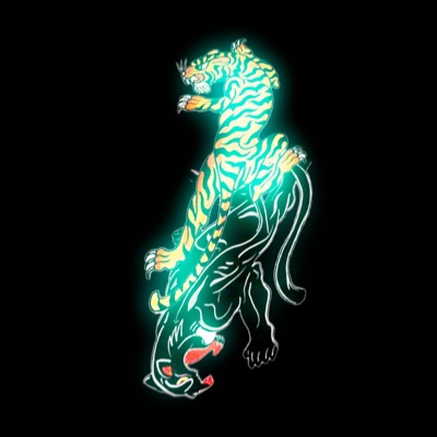 LÁGRIMAS NEGRAS - Single
