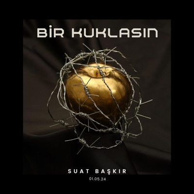 bir kuklasın (feat. suat başkır) - Single