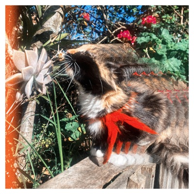 Gatos (Remaster) - Single