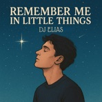 Remember Me In The Little Things (feat. DJ Elias) - Single