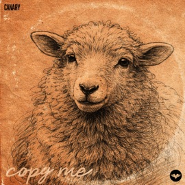 Copy Me Canary