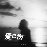爱已伤 (DJ默涵版) - Single - 孙茹雪