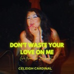 Don't Waste Your Love on Me (Live from The Basement) - Single