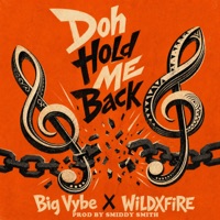 Doh Hold Me Back (Dhmb) - Single - Big Vybe & WiLDXFiRE