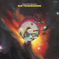 Raw Transmissions - Single - Spectacular Diagnostics