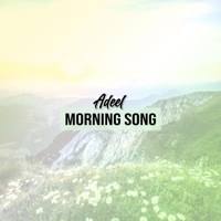 MORNING SONG - Single - Adeel Hope