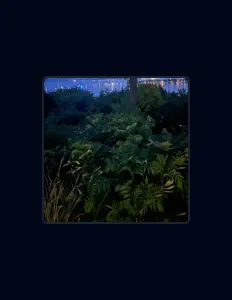 Écoutez Willing 2 Jam, regardez des vidéoclips, lisez la biographie, consultez les dates de tournée et plus encore !