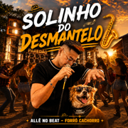 Solinho do Desmantelo - Allê No Beat & Forró Cachorro