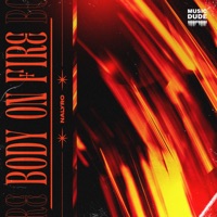 Body on Fire - Single - NALYRO