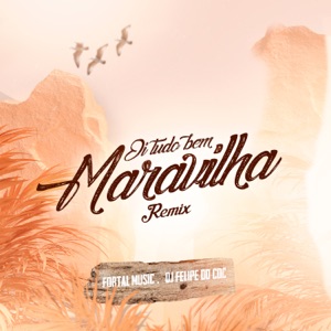 Oi, Tudo Bem Maravilha (feat. MC Kitinho) [Remix]