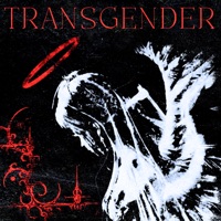Transgender - Single - sozer