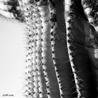 Letting Go - Single - John Wolf