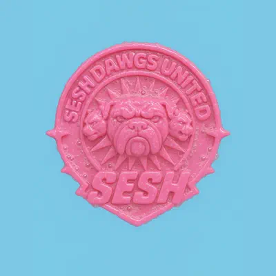 Listen to THROUGH THE BACK - Single by t e s t p r e s s, SIKOTI & Sesh