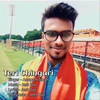 Teri Chingari - Single - Anupam Singh