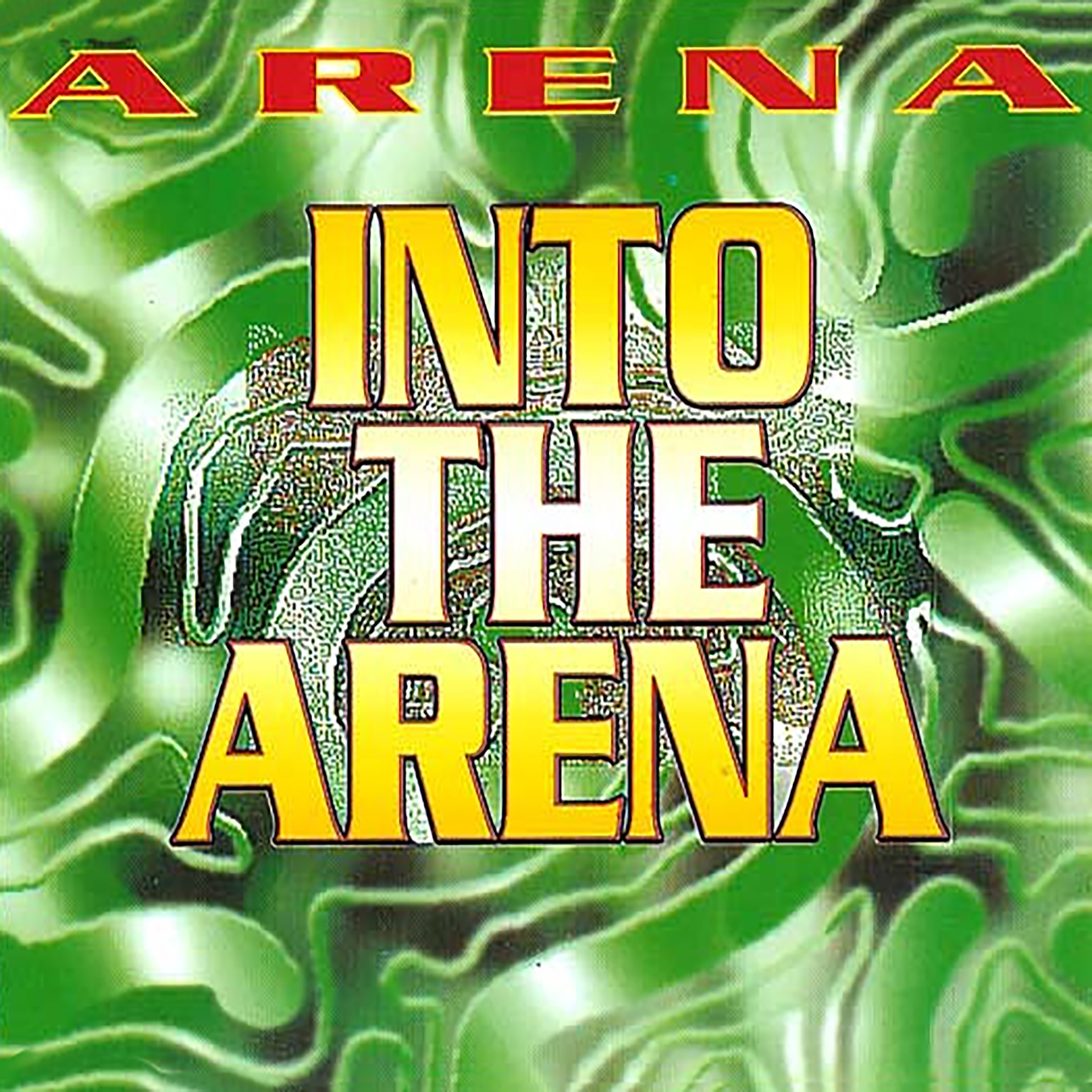 Into The Arena - Single