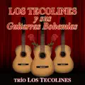 TECOLINES