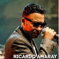 Ya No Se Puede - Single - Ricardo Amaray