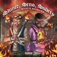Slunce Seno Sudety - Forest Blunt, Central Gang & Shaka CG