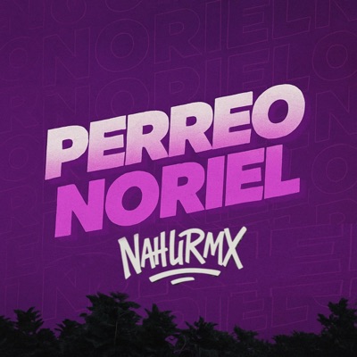 PERREO NORIEL - Single