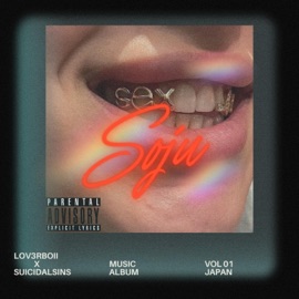 Soju (feat. Suicidalsins) Lov3rBoii