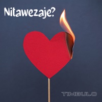 Nitawezaje? - Single - Timbulo
