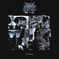 Liquefactive Necrosis - Single - Cole Kempcke