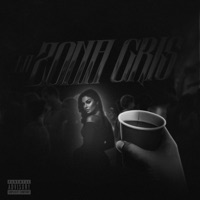 La zona gris