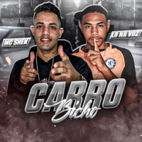 Carro Bicho (feat. LB NA VOZ) - Single - Mc shek