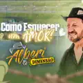COMO ESQUECER UM AMOR