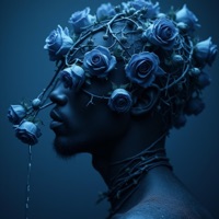 Pookie's Requiem (Response) - Single - Dékoren Rose