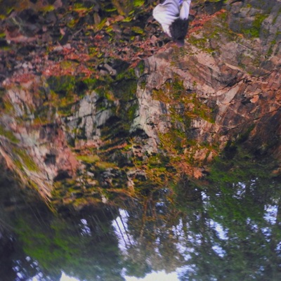 Undertow (feat. Parker Howell & SQVTCH) - Single