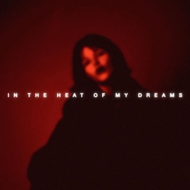 In The Heat Of My Dreams SADDESIGN'