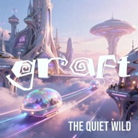 The Quiet Wild (feat. Graft) - DOMINOFOLX RECORDINGS CO.