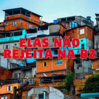 Elas Não Rejeita na B2 (feat. MC Negritin) - Single - Dj Lucas Sales da B2