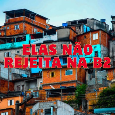 Elas Não Rejeita na B2 (feat. MC Negritin) - Single