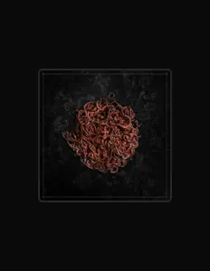 Listen to МЁРТВАЯ ВЕРА, watch music videos, read bio, see tour dates & more!