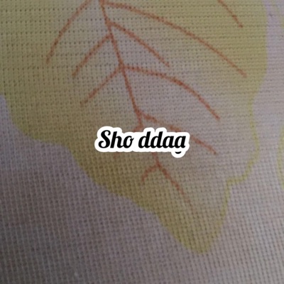 BerryVic - Shoda
