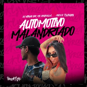 Automotivo Malandriado