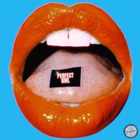 Perfect Girl - Single - ZAV & Rioleval