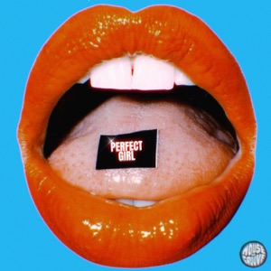 Perfect Girl - Single