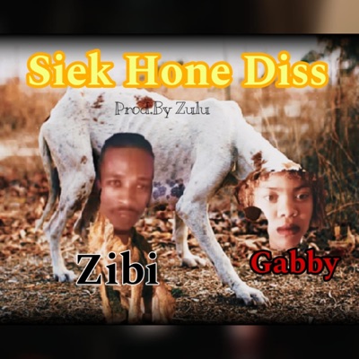 Siek Hone Gabby en Zibi Diss (feat. Nora De Gintsa) - Single